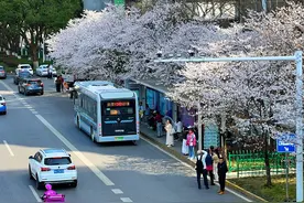 武汉“最美樱花公交站”升级改造，效果图亮相，工作人员：将增加卫生间、售货机图片