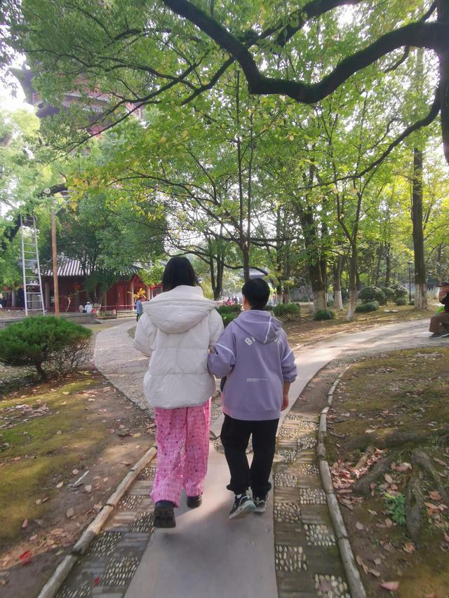 晚潮｜深秋，总要看场菊展吧