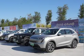 山东新能源汽车百场下乡活动东营垦利区站周末开展图片