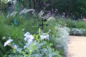 “人与自然和谐共生”的城市绿地，需要怎样的设计图片