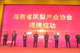 海南凤梨产销会暨海南省凤梨产业协会首届年会在临高举办图片