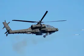 俄公布2024全球军购前十国家，这个欧洲国家排第一图片