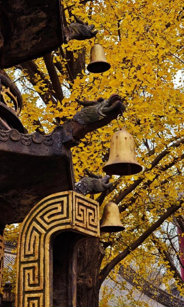 当代人需要的情绪价值，镇江给你！