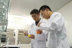 柘城县：引育并重为经济高质量发展注入“人才动能”图片