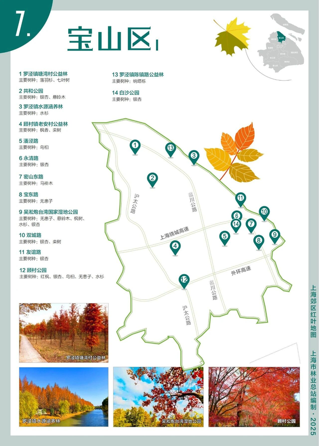 申城郊区红叶地图新鲜出炉 带你走进五彩金秋