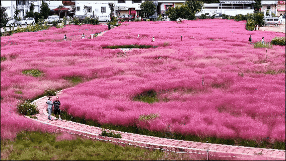 节日我在岗丨快来江川打卡“景中警”