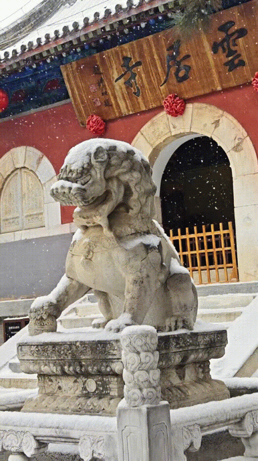 雪中的房山真美