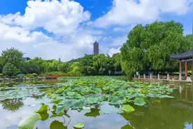 于电影《苍山》中寻根，赴家乡山河“食”光之约图片
