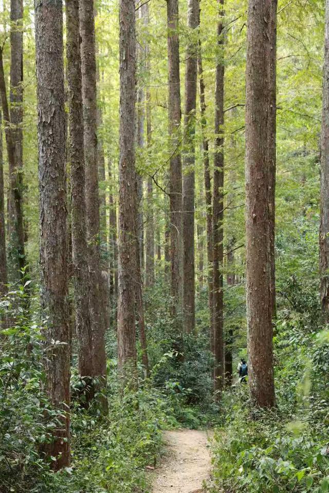 晚潮｜绿野仙踪，千岛湖牧心谷徒步