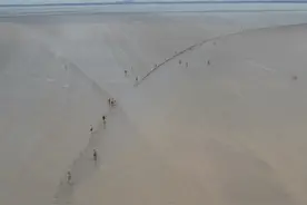 潮来时江堤下还有上百人！当“抢潮头鱼”有了流量图片