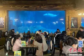 （新春走基层）海洋天堂里的“心青年”：在融合就业中“找自我”图片