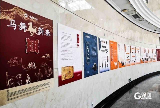 双展启幕！青岛市博物馆邀您共赴马年生肖文化童趣盛宴