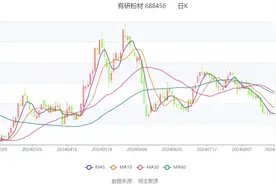 有研粉材：2024年上半年营业收入15.13亿元图片