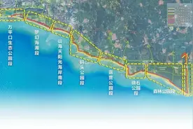 望岳谈｜日照阳光海岸绿道启示：一轴立，满城活图片