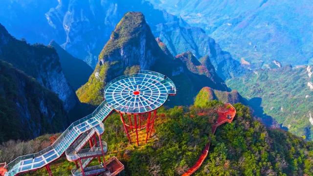 连晴！快出门秋游吧