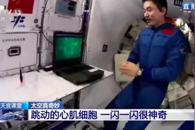 中国空间站首次活细胞研究获得突破性进展图片