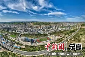 宁夏西吉：多力齐发 绘就全面乡村振兴新画卷图片