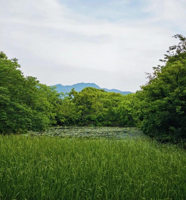 想搬去杭州了