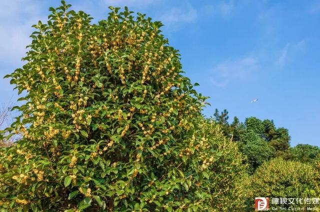 在上饶德兴享受独处的快乐，5个静谧空间超适合i人！