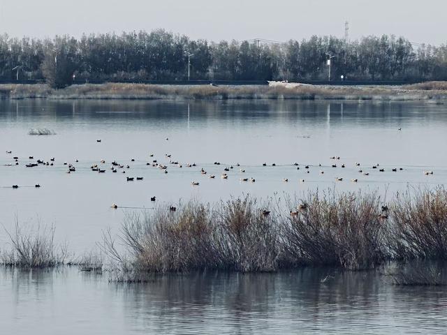 组图｜红崖山水库：邂逅一汪清冽 收藏冬日静美