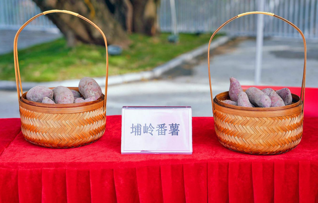 新潮！梯面解锁休闲乡村新玩法~