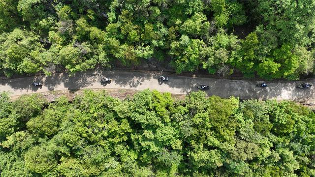 赛事引客潮 清凉促消费——罗平“体育+文旅”激活夏日经济活力