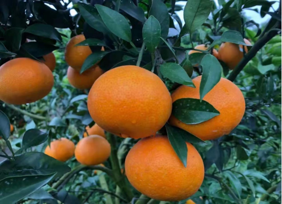 永川“留娃”去处上新→