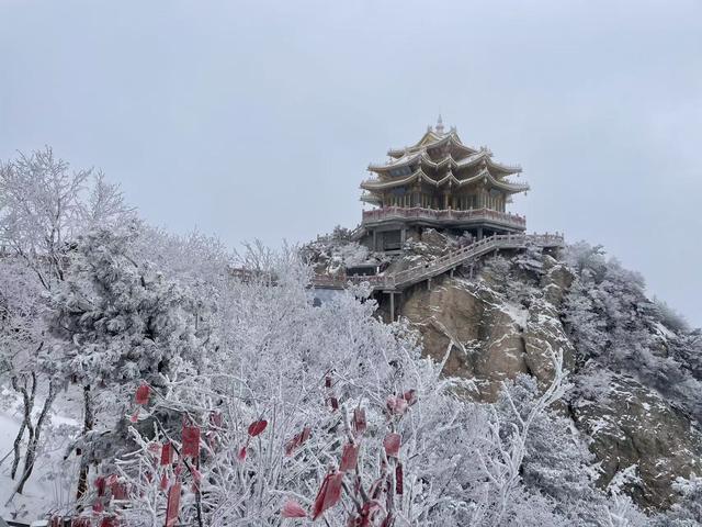 河南文旅雪后盛景：银装素裹绘就“一半仙境，一半人间”画卷