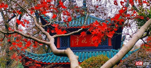 解锁湖南秋日限定浪漫！你可能没想到的赏秋好去处