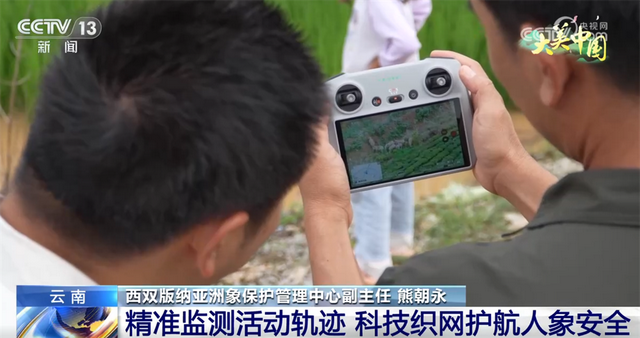 点“绿”成金让生态“颜值”变为文旅“价值” 夏日经济迸发新活力