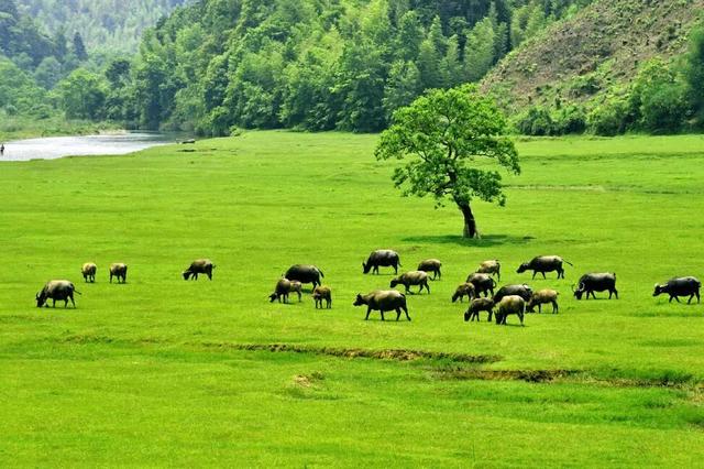 灵川宝藏地，私藏了最诗意的秋天