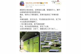 骨灰盒放丰巢快递柜一年只要55块钱？丰巢客服回应：每周都会清理滞留件图片