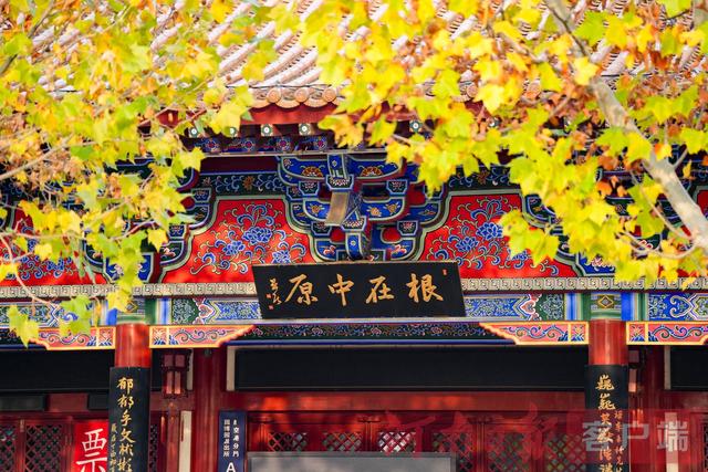 印象港区｜满目金黄，是秋写给冬的告白