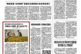 【市州党报关注】贵州圆嘉农业科技发展有限公司： 刺梨进入采摘季 加工企业生产忙图片