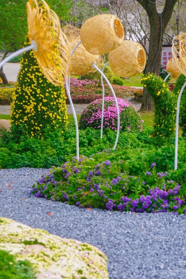 苏州的秋天，给你点“颜色”看看！