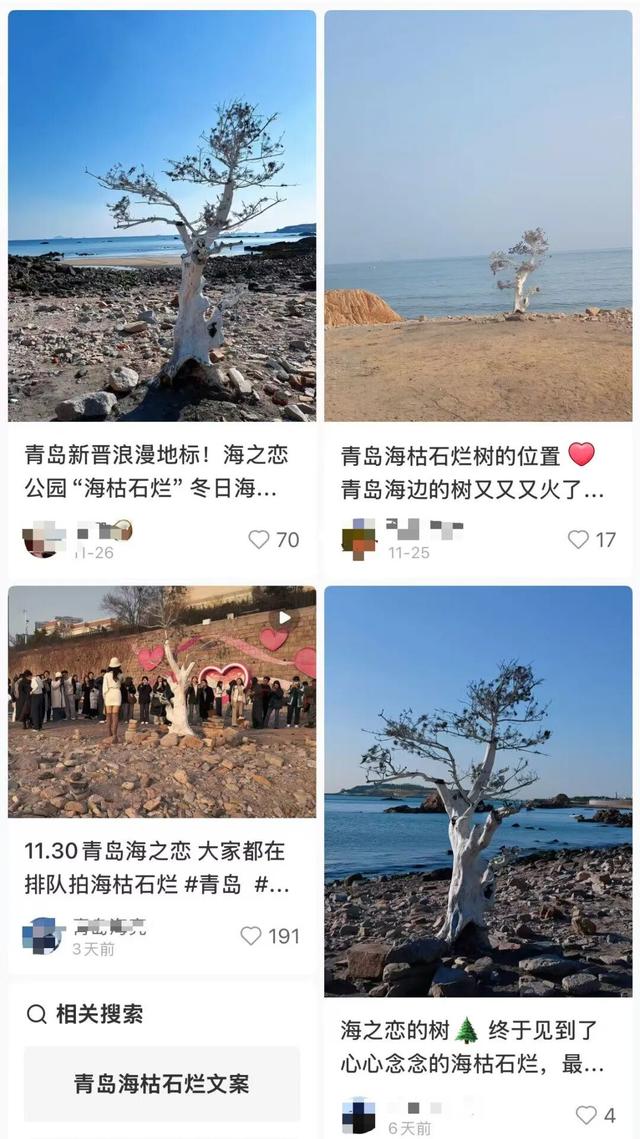 青岛海边又一棵“树”走红，游客市民排队打卡！