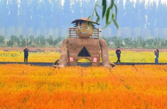 解锁“美拉德”色系！东平的秋天是懂氛围感的