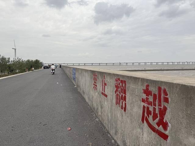 5元就可翻越禁区打卡网红景点？上海丁坝兴起“梯子生意”