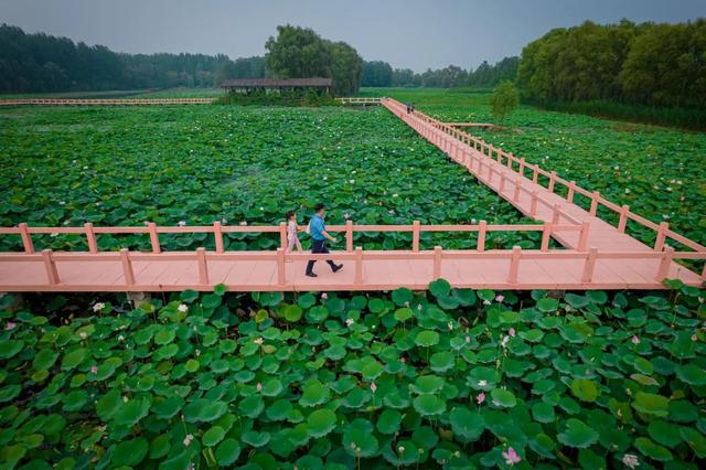 秋游首选！这10个地方太合适现在出发