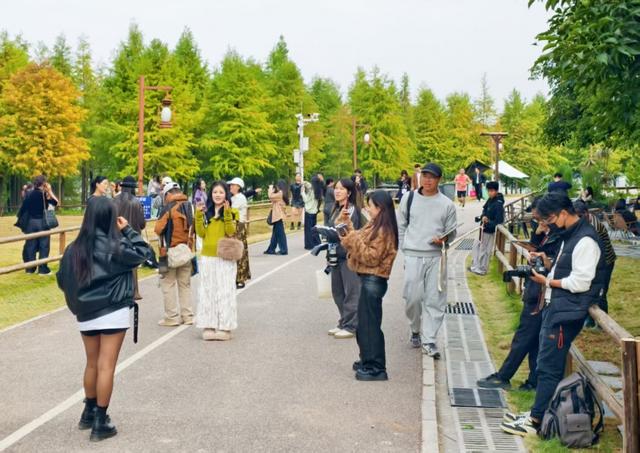 南宁秋冬限定的浪漫！邕江两岸层林尽染身披“秋装”