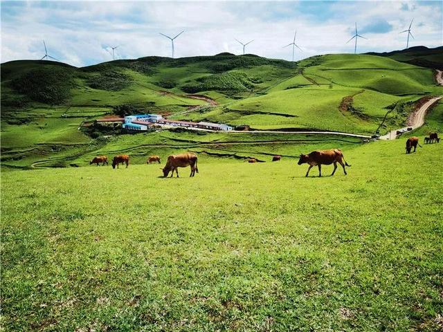 一周之内两次被外交部“种草”，红河凭什么？