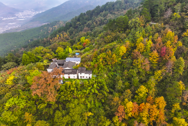 我在这里，等你→