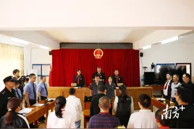 一次巡回审判，守护满山珍草！云开山再响法槌声图片