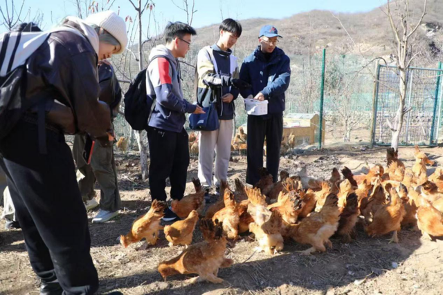 冬蕴万象 | 京西乡野寻踪·暖意雁翅之旅