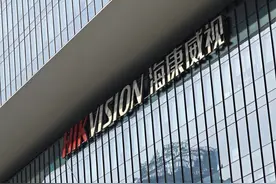 海康威视：去年海外主业和机器人等创新业务占比首次超50%图片