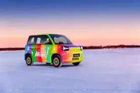 微型电动车才是“全村的希望”？图片