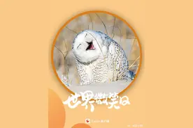 开开心心！小动物的微笑超治愈图片