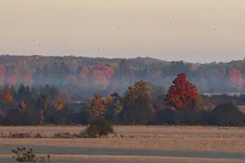 加拿大将大幅减少移民吸纳数量，力图暂遏人口增长图片