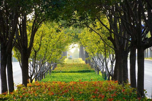 走，到郑州航空港“捡秋”去！丨港视角