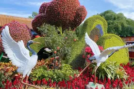 国庆假期景山公园核心展区延迟闭馆图片